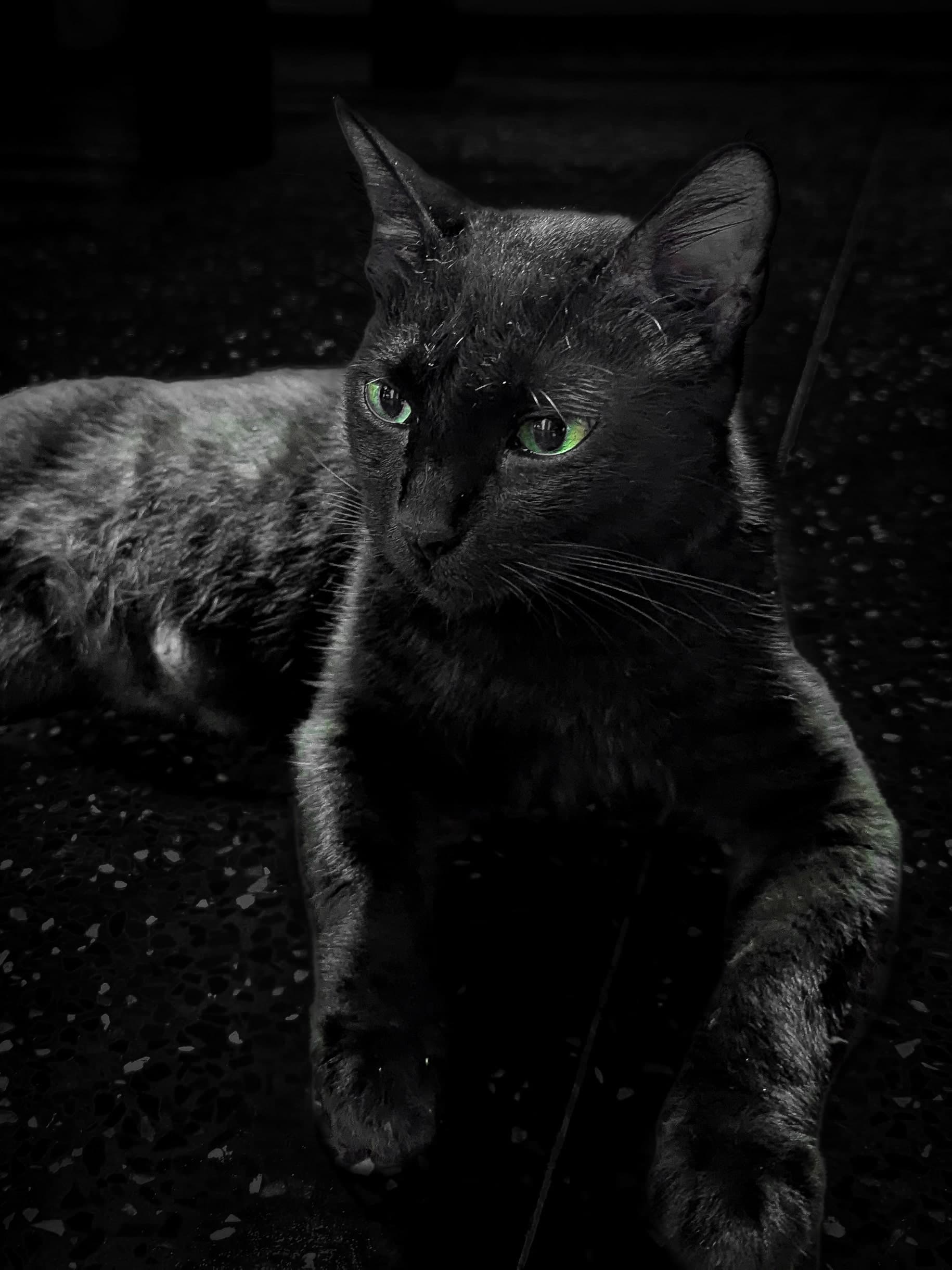 Test