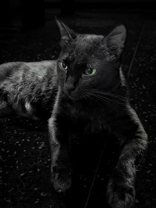 Test
