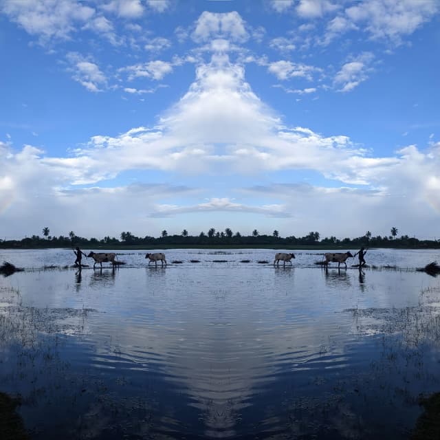 Test